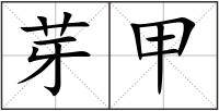 芽甲