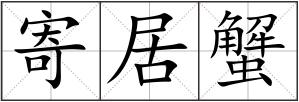 寄居蟹