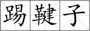 踢鞬子