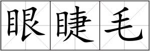 眼睫毛