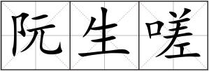 阮生嗟