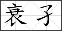 衰孑