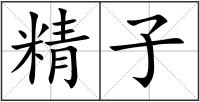 精子