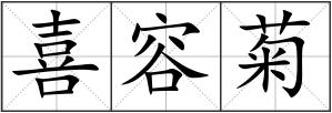 喜容菊