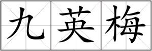 九英梅