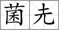菌圥