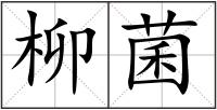 柳菌