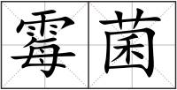 霉菌