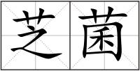芝菌