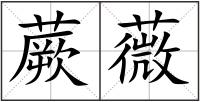 蕨薇