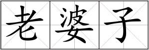 老婆子