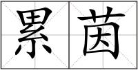 累茵