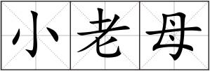 小老母