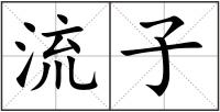 流子