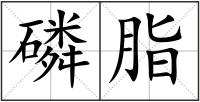 磷脂