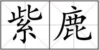 紫鹿