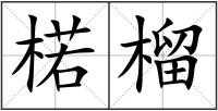 楉榴