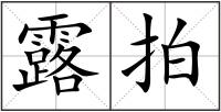 露拍