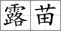 露苗