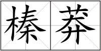 榛莽