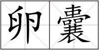 卵囊