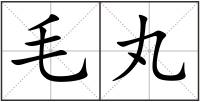 毛丸
