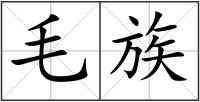 毛族