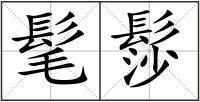 髦髿