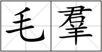 毛羣
