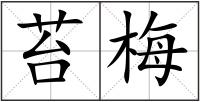 苔梅