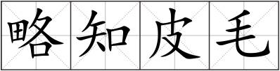 略知皮毛