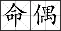 命偶