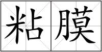 粘膜