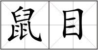 鼠目