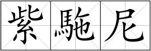 紫駞尼