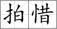 拍惜