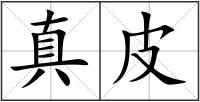 真皮