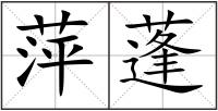 萍蓬