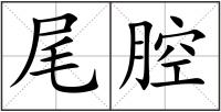 尾腔