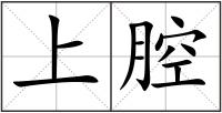 上腔