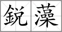 鋭藻