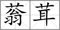 蓊茸