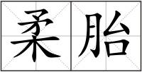 柔胎
