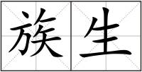 族生
