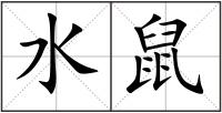 水鼠