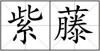 紫藤