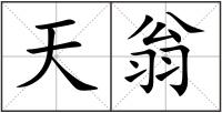 天翁