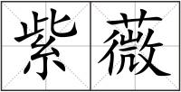 紫薇