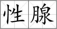 性腺