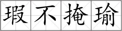 瑕不掩瑜